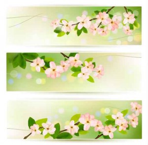 Three spring banners with blossoming tree brunch with spring flo