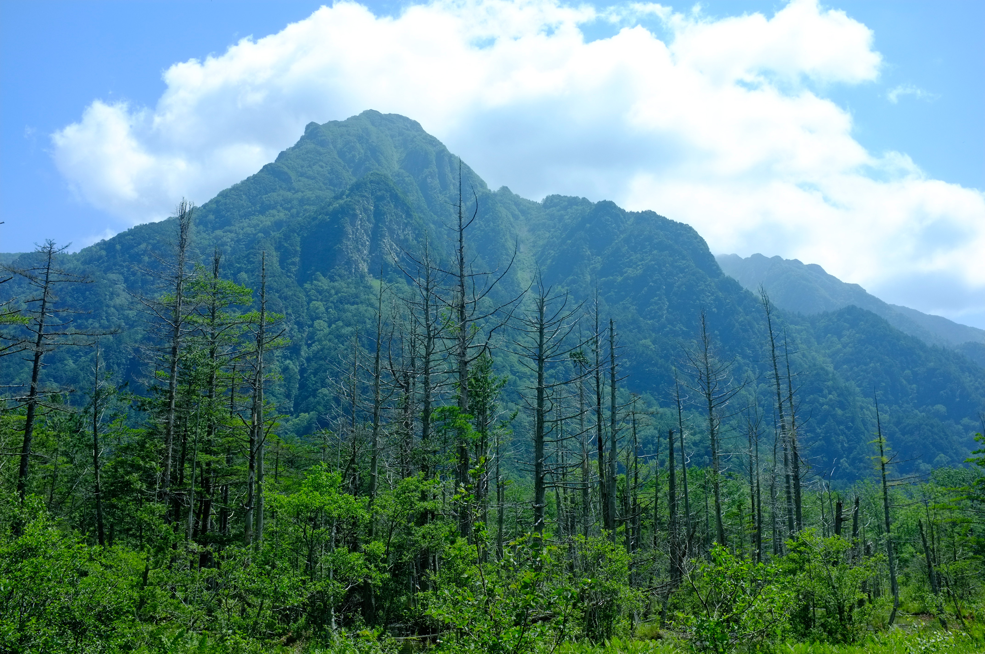 や まい だれ に 山