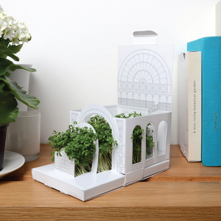 fold-out-miniature-garden-growing-gift-by-post