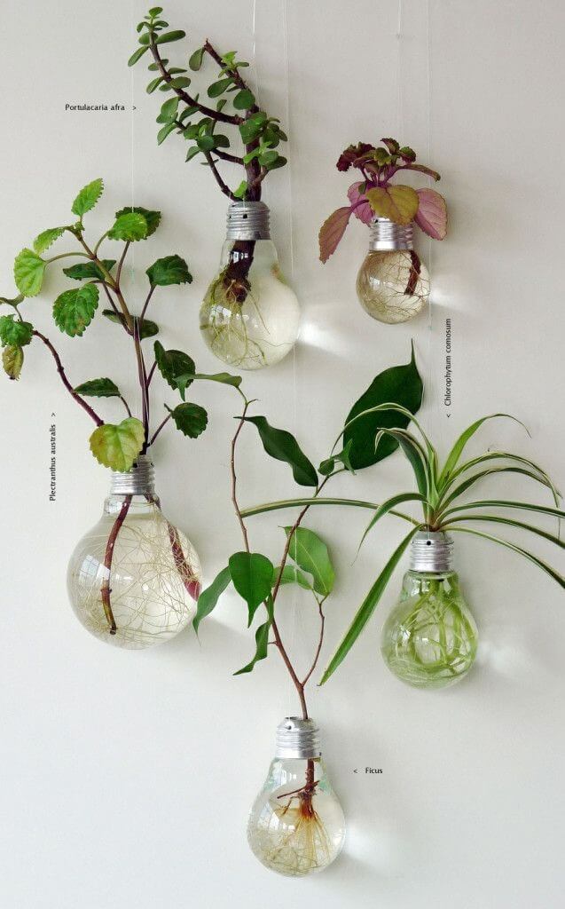 recycle-old-light-bulbs